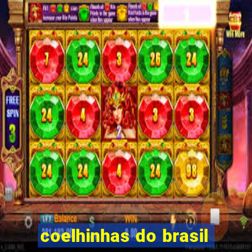 coelhinhas do brasil